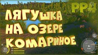 Ловля лягушки на живца. Озеро Комариное • Русская рыбалка 4 • Маховое удилище