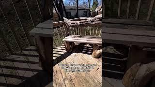 From the Ohio River to My Home: Building a Driftwood Bench #WoodArt #NaturalFurniture #DIYHome