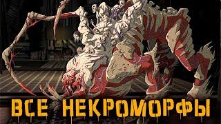 НЕКРОМОРФЫ [КРИПОВАЯ ХРЕНАТЕНЬ]