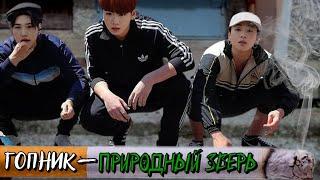 Гопник — природный зверь | SliFFka | Bangtan Boys (BTS)| #ВиГуки | Мужская озвучка фанфика