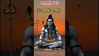 महामृत्युंजय मंत्र 108 times | Mahamrityunjay mantra 108 times fast | maha mrityunjay mantra