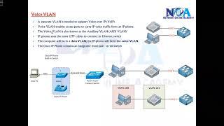 003 VLAN Types