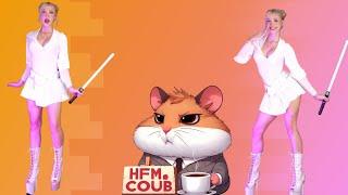 HFM COUB BEST CUBE Coub Приколы 2025 entertainment show, video collection from all over the world