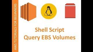 AWS CLI  | Shell script to Query EBS Volumes