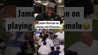 James Harrison’s HILARIOUS Troy Polamalu impression #shorts @channel_seven7