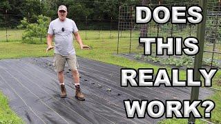 Mastering Weed Control In Our Garden - Our Proven Strategies