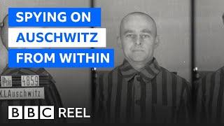 The man who volunteered to be imprisoned in Auschwitz - BBC REEL