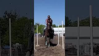 #nsca #omoksee #horse #rodeo #horseshow #western #westernriding #aqha #youtubeshorts #subscribe