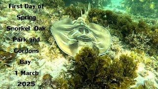 First Day of Autumn Snorkel - Oak Park and Gordons Bay - 1 March 2025