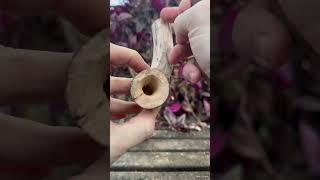 Would you try this?  #carving #satisfying #nature #relaxing #woodcarving #woodworking #art