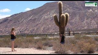 Exkursion Cachi und Nationalpark Los Cardones