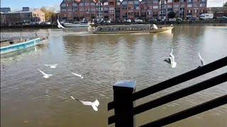 very beautiful place in Germany- sehr schön Platz in der Stadt Leer- Deutschland