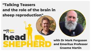 Talking teasing and the role of the brain in sheep reproduction with Graeme Martin