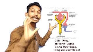 Drug Excretion | Pharmacology | Pharmacokinetics | Lingam Harish | Excretion | drug movement