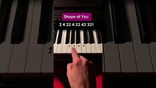 Shape of you (Simple Tutorial) #piano #tutorial  #edsheeran #pianomusic  #lesson #trythis #tips