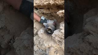 Archeology treasure hunt //treasure hunter #chasse_au_trésor #adventure #treasure