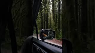 4K relaxing video