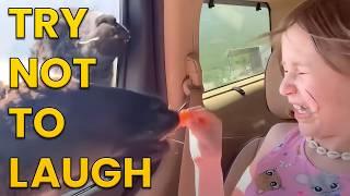 Funniest Animals of the Year! Try Not To Laugh Challenge 