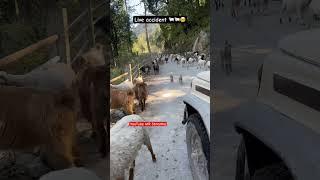 Live accidents #travel #nature ️#nepalitrekking #meronepal #MR Shrestha