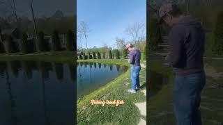 fishing trout fish  #trending #shortvideo  #romania #fishing