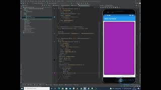 How to add Border to the Container in Flutter | How to add Borders in Flutter