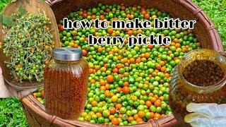 How to make bitterberry (Chamkhah) pickle. #village  #homemade #Organic #spicy  #pickle #C&C.