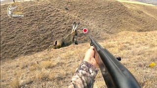 TAVŞAN KEKLİK AVI (TAŞ ATMASAM GEÇİP GİDECEKTİM) RABBİT HUNTİNG صيد الارنب chasse au lapin