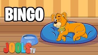 BINGO | Nursery Rhymes + Kids Songs | JoolsTV Trapery Rhyme