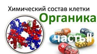 3.Химия клетки - органика часть II (9 или 10-11 класс) - биология, подготовка к ЕГЭ и ОГЭ 2018