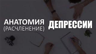 АНАТОМИЯ ДЕПРЕССИИ. Часть 8 - расчленим депрессию на части. Алексей Яровой