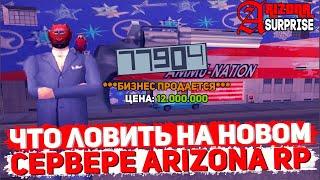 ЧТО ЛОВИТЬ НА ОТКРЫТИИ НОВОГО СЕРВЕРА ARIZONA RP SURPRISE В GTA SAMP