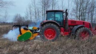 Новый трактор Беларус-3522 с мульчером раздирает в труху березы на поле