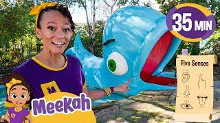 Meekah Meets A Giant Whale! | Meekah's Best Animal Episodes | Blippi and Meekah Kids TV