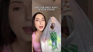 DOLLAR TREE HAUL  #dollartree #dollartreefinds #dollartreehaul #newatdollartree #dollartreemakeup