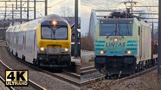 Trafic Ferroviaire entre Bruxelles et Anvers (160 km/h) | 30 janvier 2024