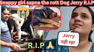 The Rott Owner Jerry R.I.P @snappygirls02 @THEROTT @Beinganshu0