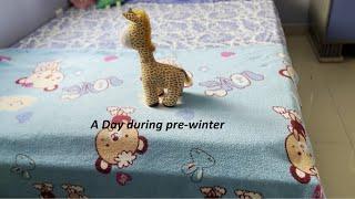 Pre-winter Day in my Life| Indian Silent Vlog | Her Fab Moments