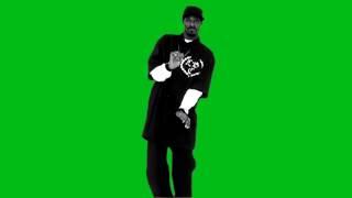 Chroma Key   Snoop Dogg Smoke Weed Everyday