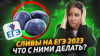 Сливы Биология ЕГЭ 2023