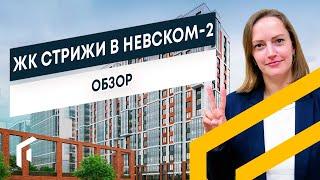 ЖК СТРИЖИ в НЕВСКОМ 2 | Обзор новостройки Спб | Недвижимость Санкт-Петербурга