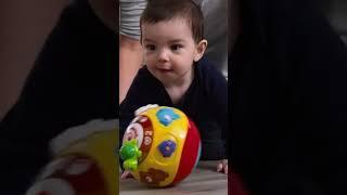 VTech Wiggle and Crawl Ball,Multicolor