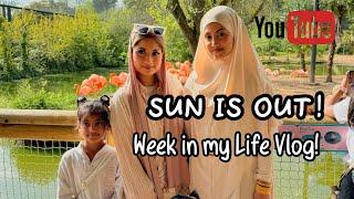 WEEK IN MY LIFE VLOG - SUN IS OUT! #dailyvlogs