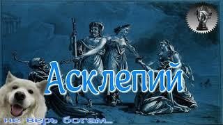 АСКЛЕПИЙ.Творческая биография.От колыбели до могилы.И от могилы до Олимпа.