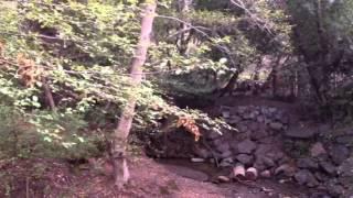 Creek crossing. Boy on bike. 3-10-14