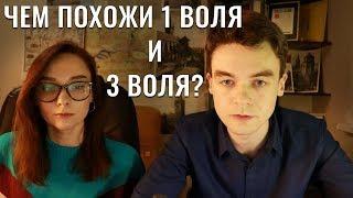 Бывают ли похожи 1Воля и 3Воля? В чём разница?