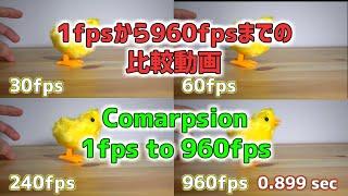 FPS comparison from 1fps to 960fps