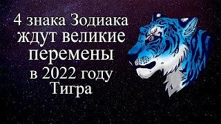 Четыре знака Зодиака ждут великие перемены в 2022 году Тигра. Чья жизнь изменится к лучшему?