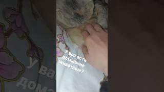 Водные процедуры