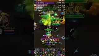 2.3 million dps mega havoc demon hunter #warcraft #драгонфлай #game #gameplay #wow #worldofwarcraft