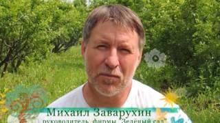 Зеленый сад фильм № 208 "Персики. Виноград" от 02.07.2016г. г.Хабаровск (zeleniisad.ru)